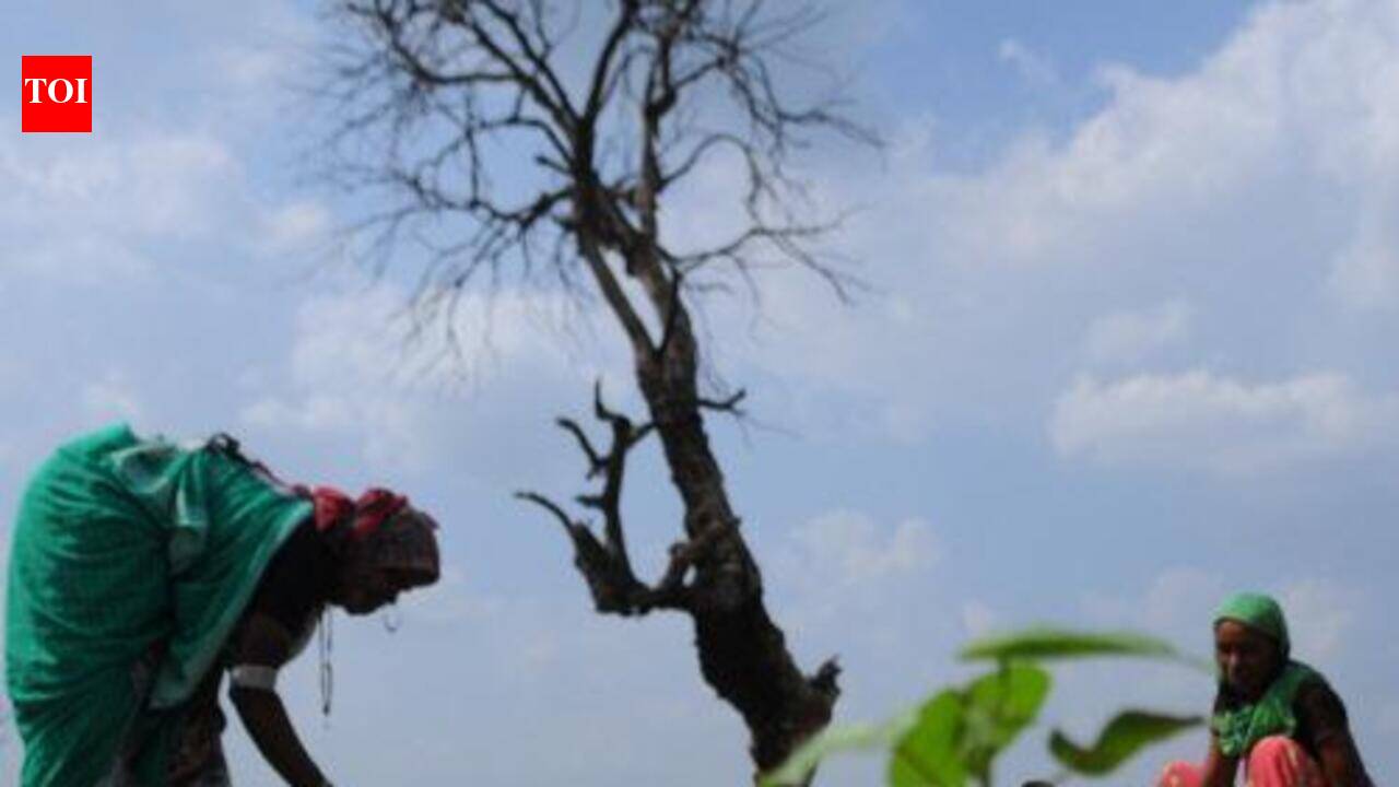 UAS Mandya draws up drought contingency plan for 5 districts