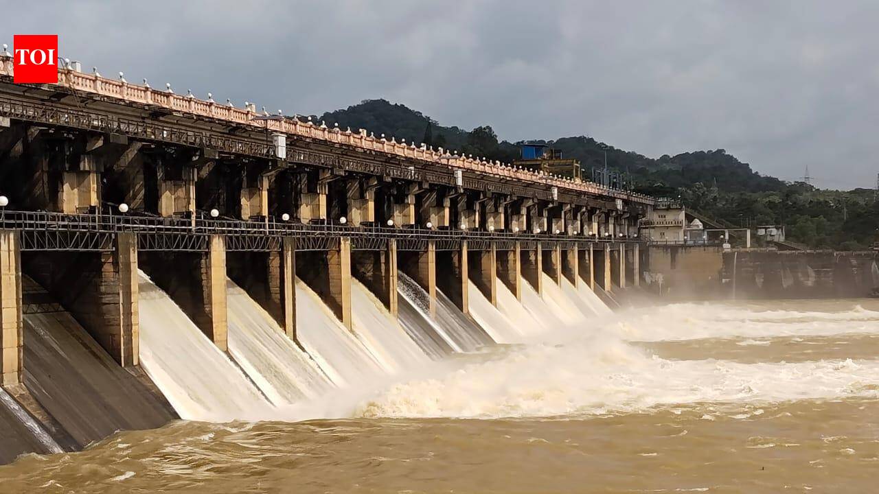 Tunga dam’s 10 sluice gates opened to release excess water