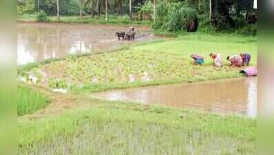 State misses another farm loan waiver deadline