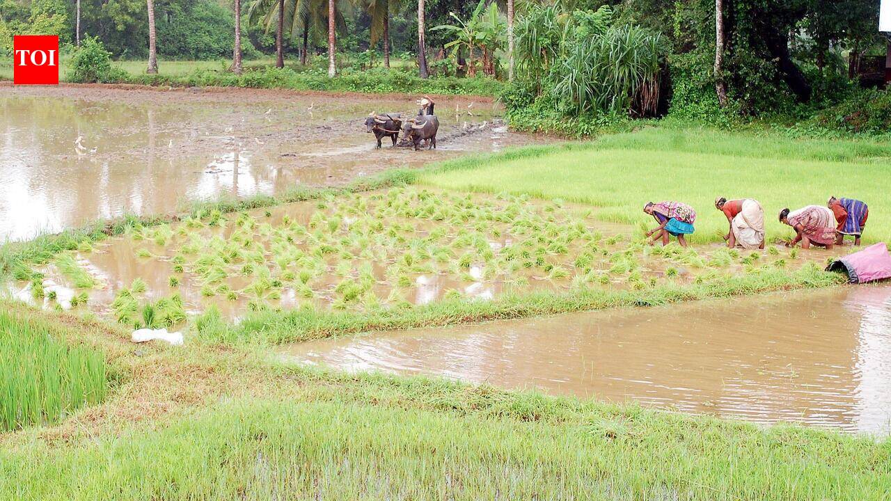 State misses another farm loan waiver deadline