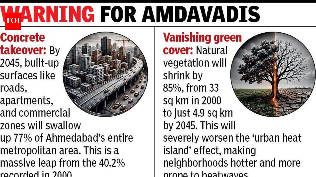 Is our future grey? Concrete to cover 77% of Ahmedabad by 2045