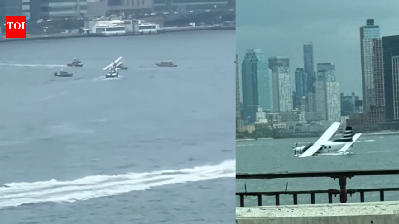 Seaplane carrying 8 crashes into New York's East River, all rescued - video