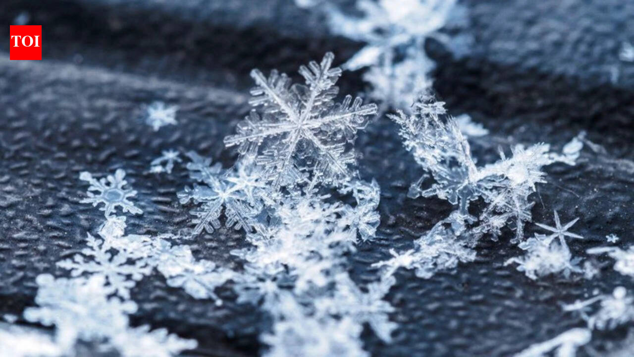 Canadian proverb of the day: 'No snowflake lands the same twice'