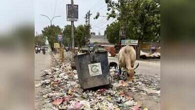 Waste piles, roads waterlogged in Greater Noida