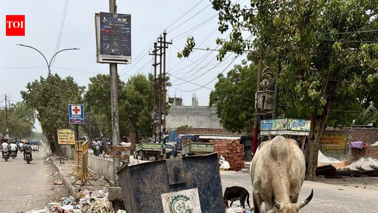 Waste piles, roads waterlogged in Greater Noida
