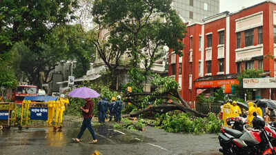 Monsoon mayhem: South Bombay sees wettest July day in 50 years; house collapse, tree falls claim 8 lives