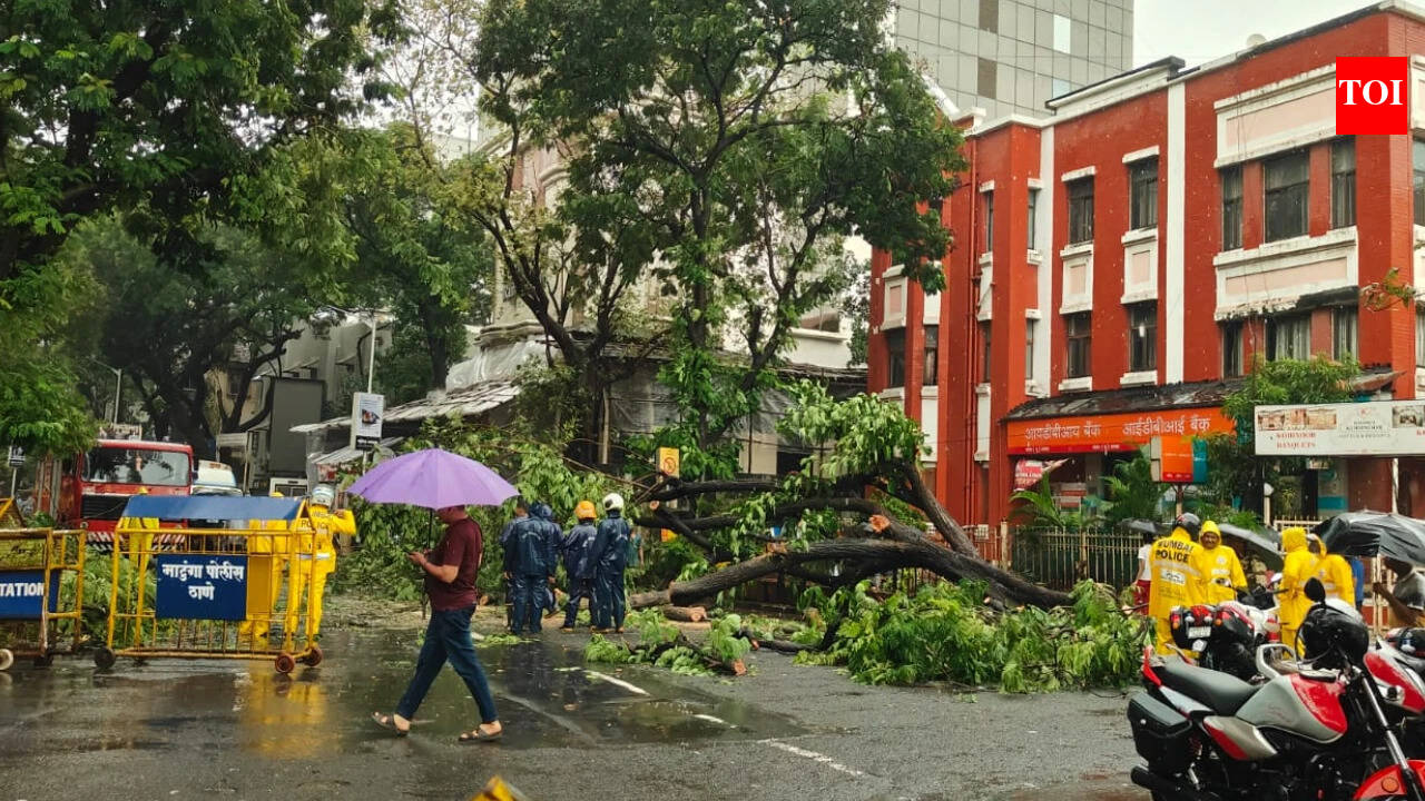 Mumbai sees Wettest July as Monsoon Kills Three