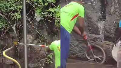 Snake scare at Courtallam falls leaves tourists stunned, visitors seen running around pushing each other as snake slithers nearby; rescue video goes viral