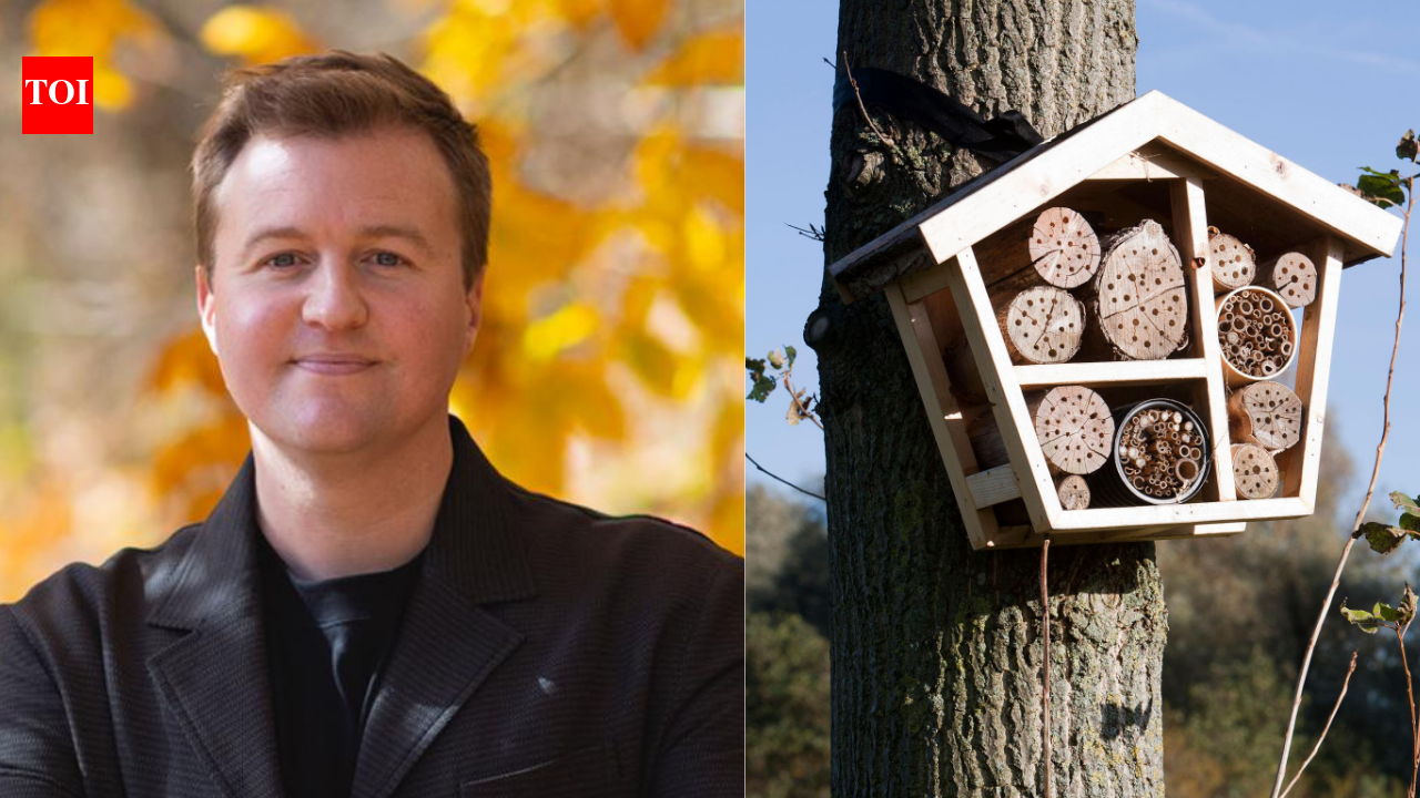 A scientist built 200 hotels for bees. Three years later, the guests he found changed what we know about pollinators and biodiversity