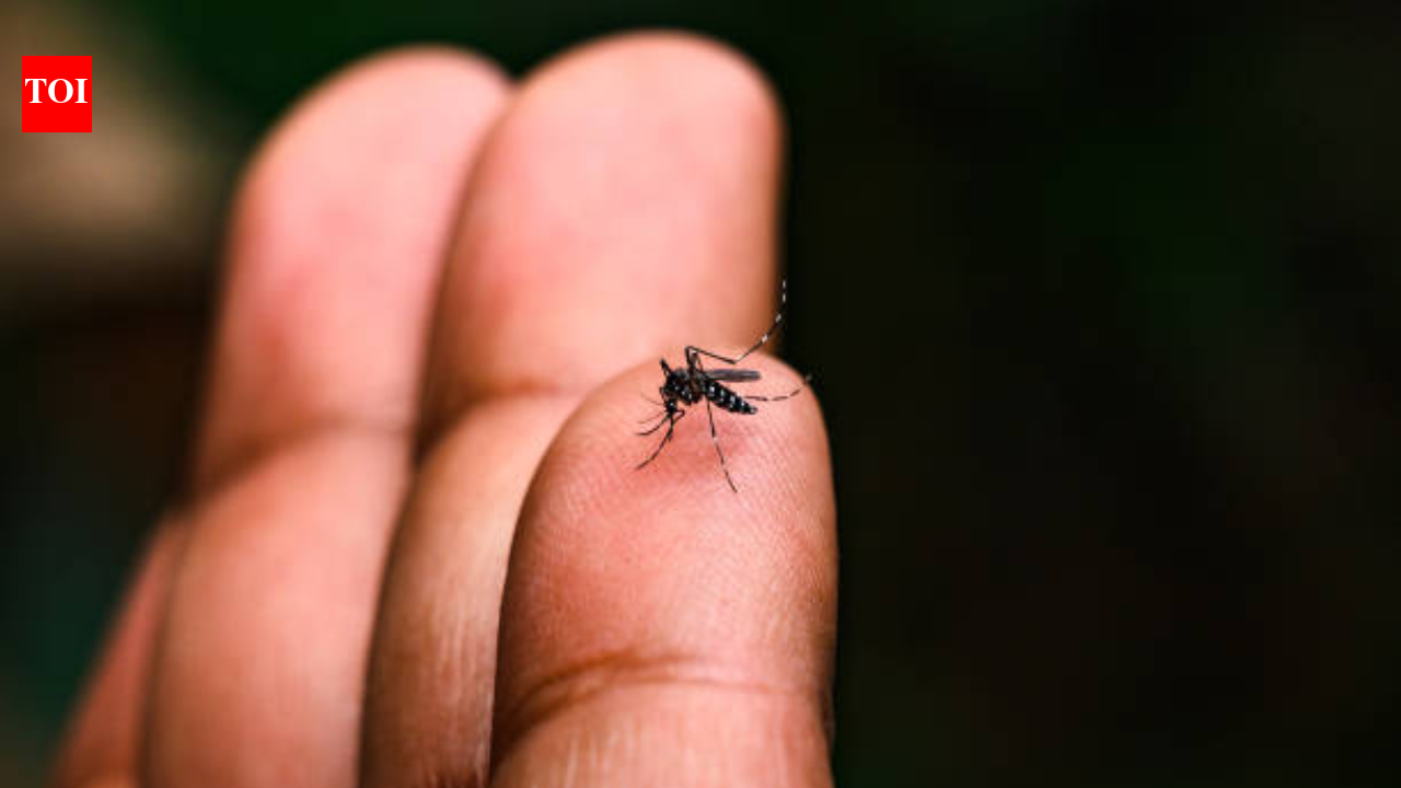 Monsoon fever or dengue? Mumbai doctors reveal the early symptoms you should never ignore and why testing within the first few days matters