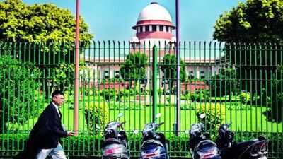 Karur stampede case: SC to hear plea alleging TVK ministers 'influencing' witnesses