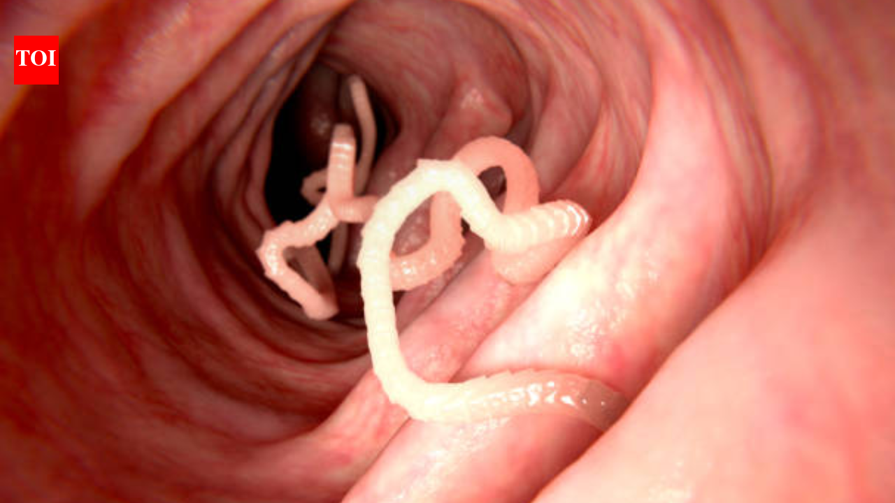 Doctors thought a 60-year-old man had brain cancer, but scans revealed tapeworms inside his brain; he had never travelled abroad, and when they asked about his daily routine, one detail stood out...
