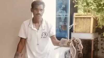 20 cobras rescued from household well in Mandsaur