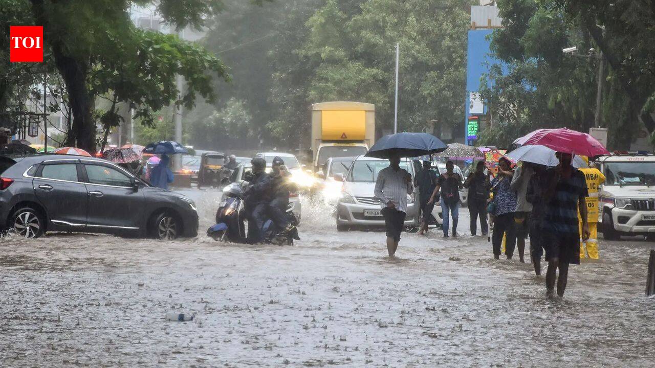 Mumbai monsoon mayhem: Rail services hit, dabbawalas suspend work; WFH advisory issued, 15k personnel deployed amid red alert