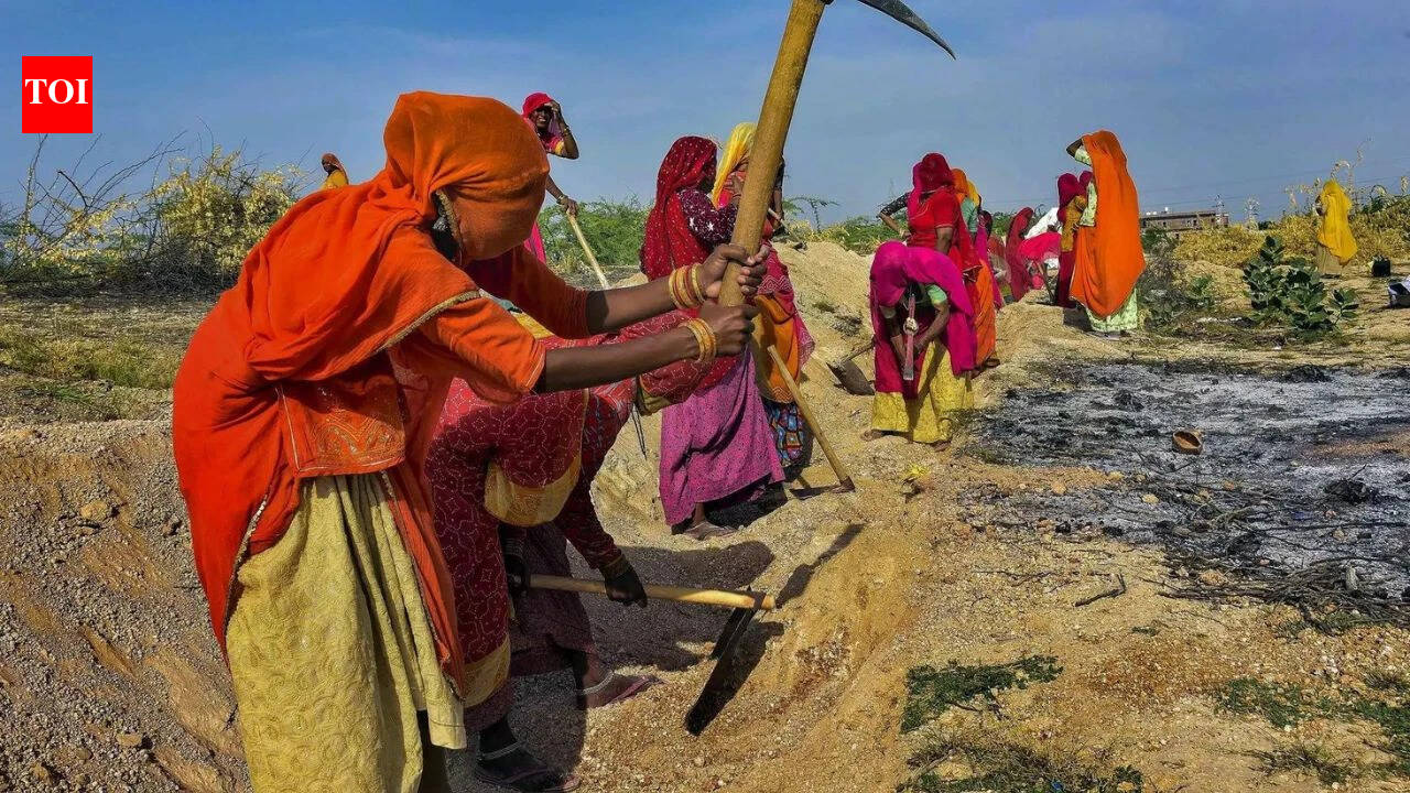 भारत की नई ग्रामीण रोजगार योजना: कैसे वीबी-जी रैम जी का लक्ष्य रोजगार और आय को पुनर्जीवित करना है | भारत समाचार