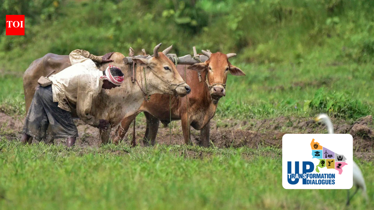 Small dairies, big impact: The story of Uttar Pradesh's Mini Nandini scheme