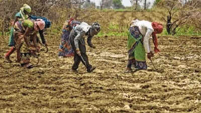 Karnataka’s Kharif sowing limps at 43% of target