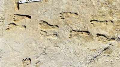 23,000-year-old footprints in White Sands are rewriting the story of the first humans in the Americas