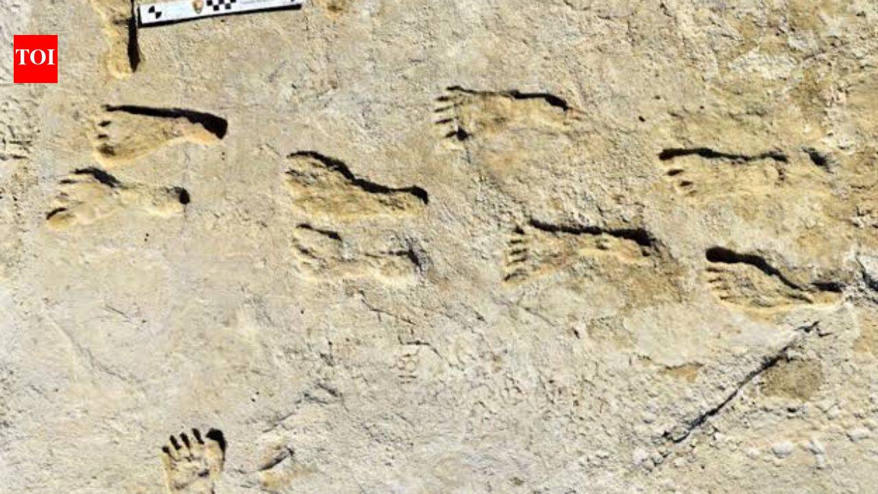 23,000-year-old footprints in White Sands are rewriting the story of the first humans in the Americas