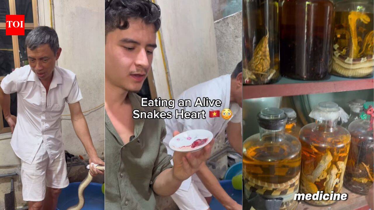 “I ate a raw, still-pumping snake heart”: This hidden snake village near Hanoi offers one of Vietnam's wildest travel experiences
