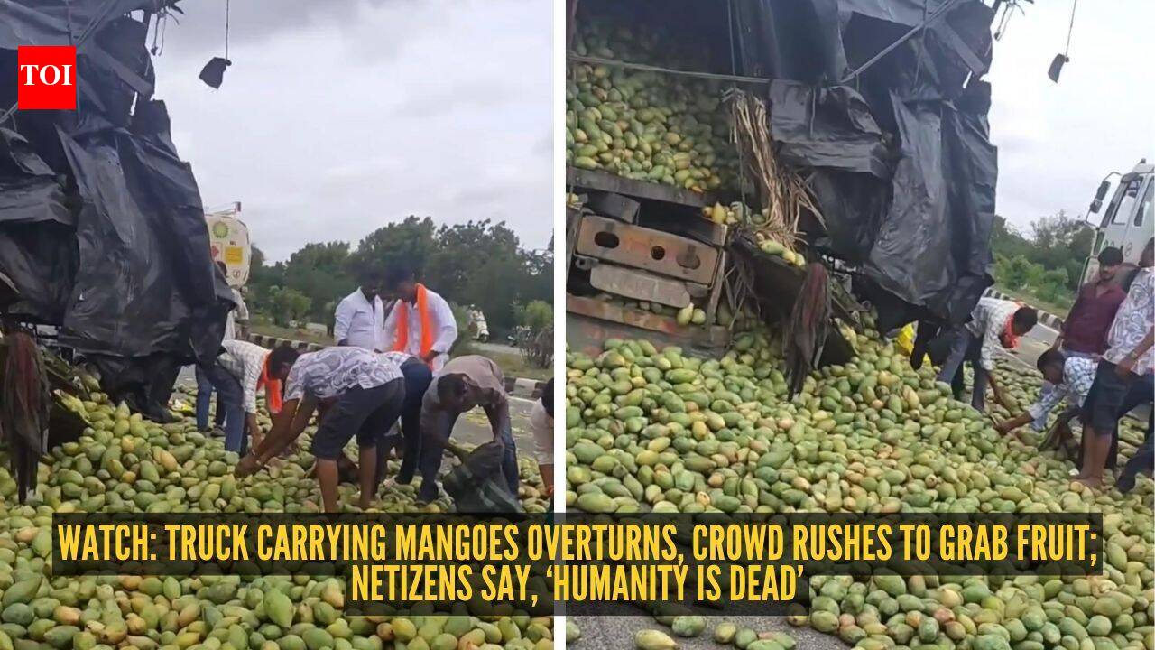 Watch: Truck carrying mangoes overturns, crowd rushes to grab fruit; netizens say, ‘Humanity is dead’