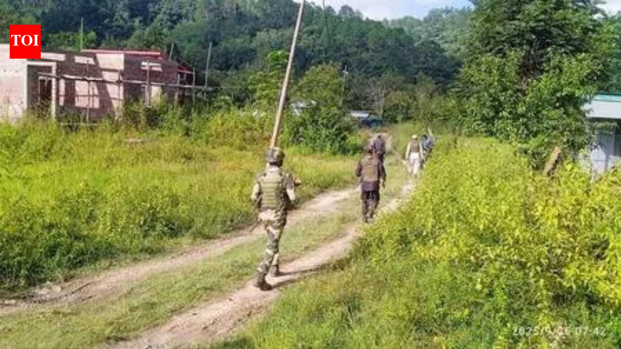 2 Assam Rifles soldiers killed in militant ambush in Manipur's Ukhrul, several others injured