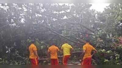 BDA’s system to collect, dispose green waste on the anvil