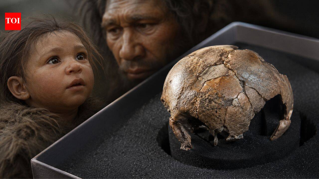 Rare Neanderthal baby fossil reveals our ancient relatives may have begun life much like modern humans