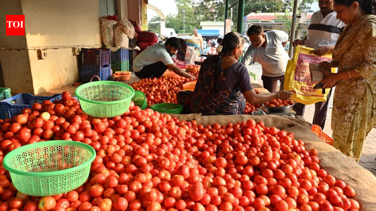 Tomato prices fall to Rs 15 in Coimbatore amid surge in local, outstation arrivals
