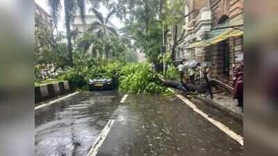 Two injured in tree crashes in Goregaon in separate instances