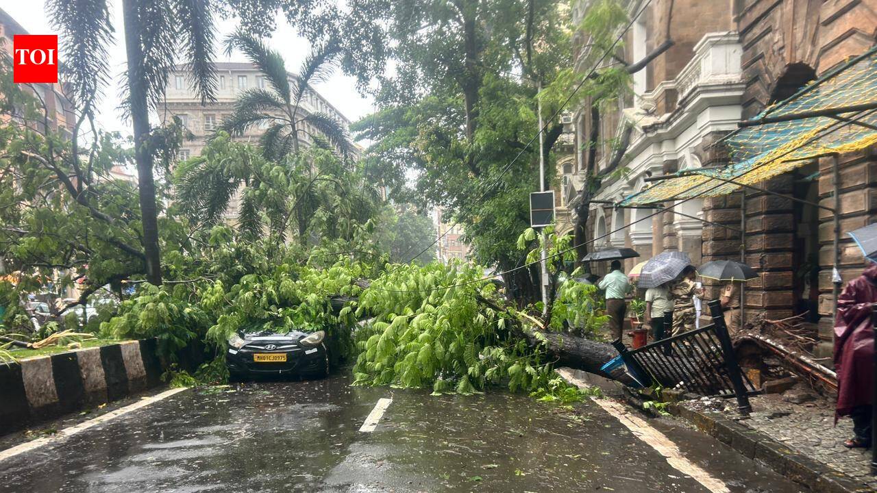 Two injured in tree crashes in Goregaon in separate instances