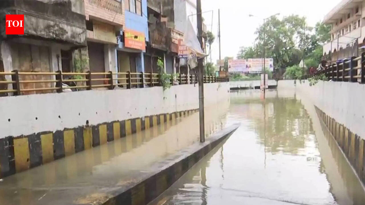 Lightning, drowning claim 3 human lives as rain lashes Chhattisgarh; rivers swell, low-lying areas inundated