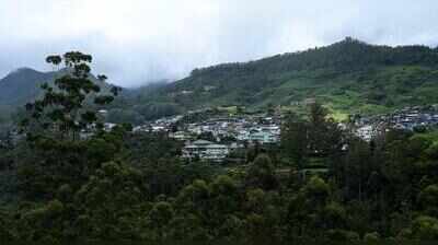 Amid landslide threat in Munnar, tourists urged to exercise caution