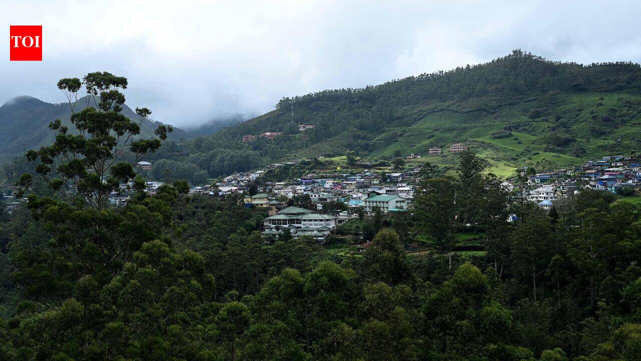 Amid landslide threat in Munnar, tourists urged to exercise caution