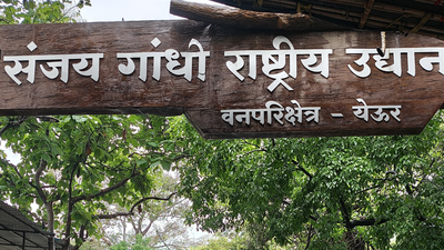 Thane collector prohibits entry to waterfalls, forts and other tourist spots amid heavy rain alert