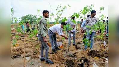 BMC plants 8k saplings in Miyawaki method
