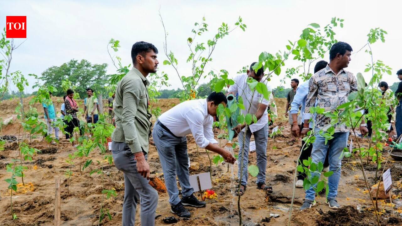 BMC plants 8k saplings in Miyawaki method