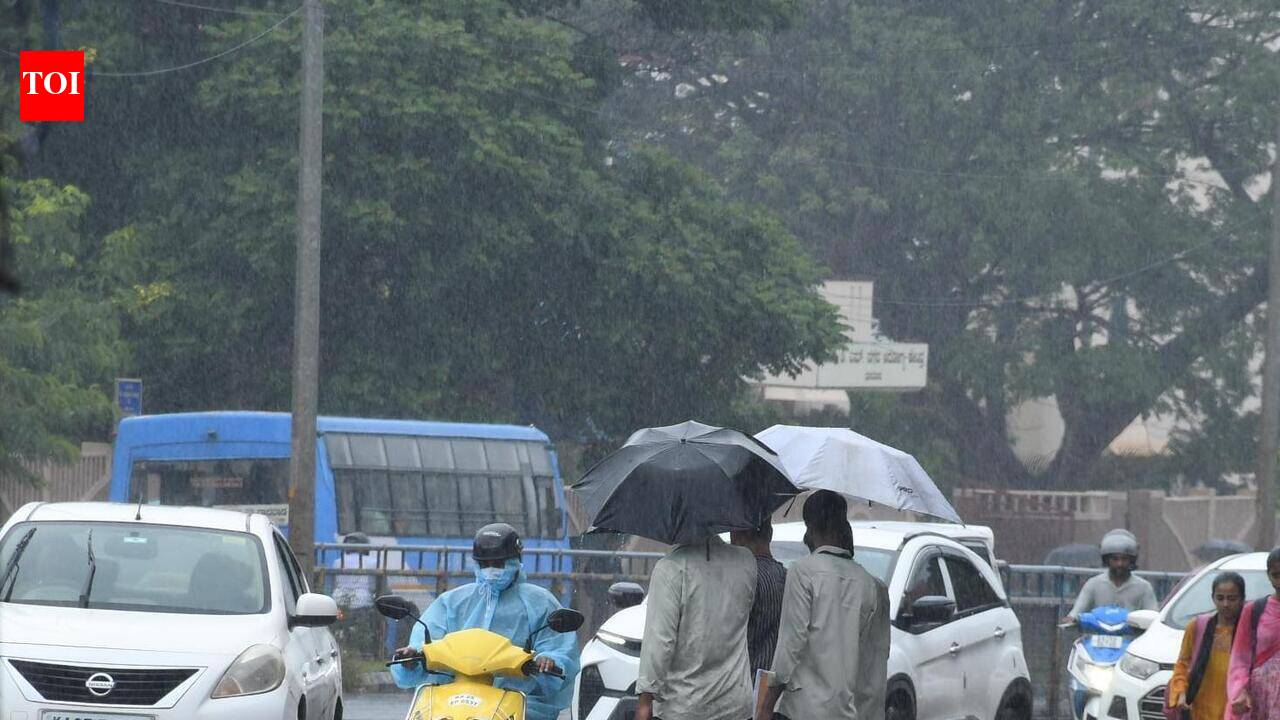 Monsoon: Orange alert for next 2 days in Dharwad