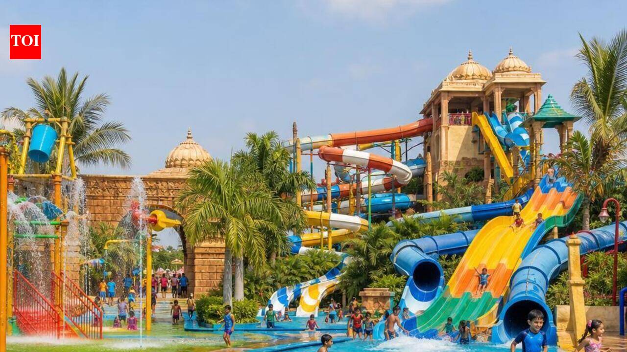 5 ‘illegal’ water parks shut in Agra after drowning deaths