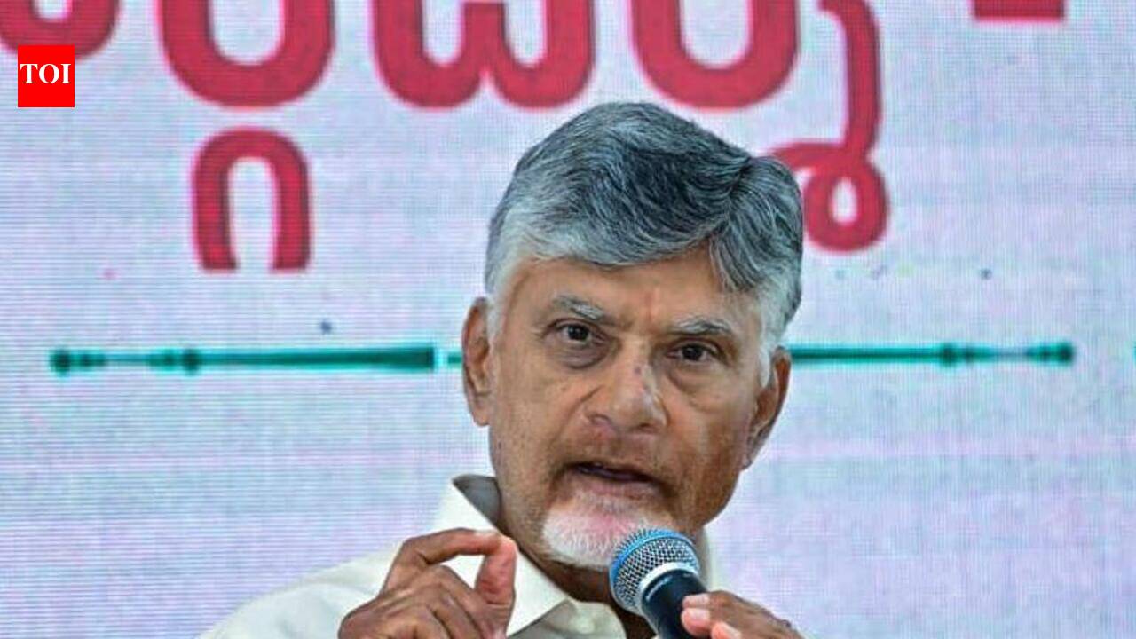 Naidu reviews Vizag economic region plan