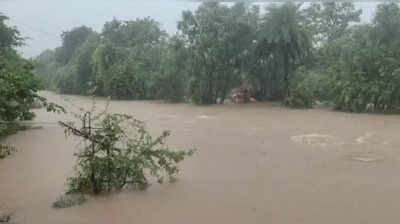 CM: 500 in Palghar being evacuated; 2 dams overflow