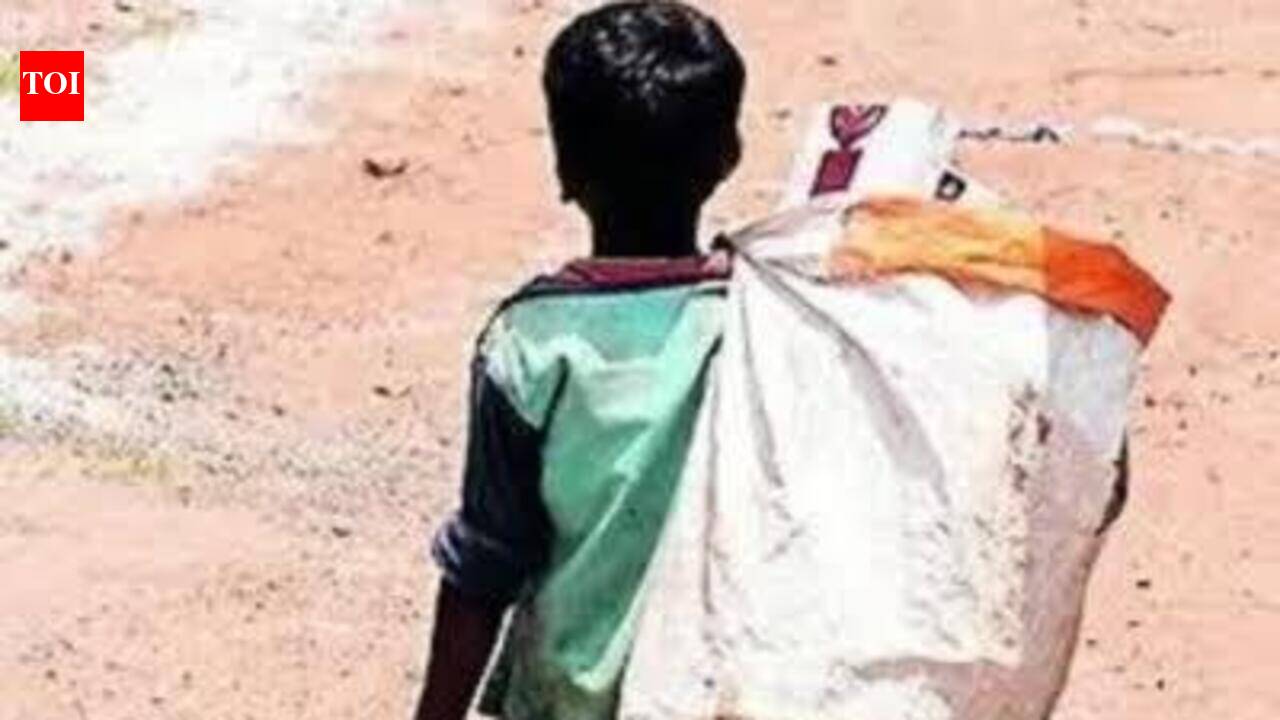 Task force rescues three minors in child labour inspections