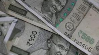 PM economic advisory panel recommends periodic review of women cash transfer schemes