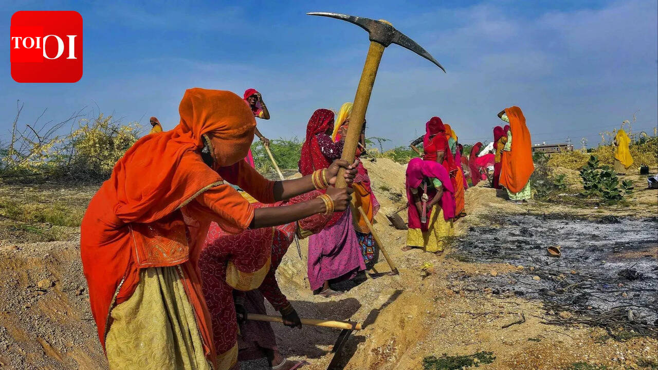 नई ग्रामीण रोजगार योजना जल सुरक्षा कार्यों को प्राथमिकता देती है | भारत समाचार