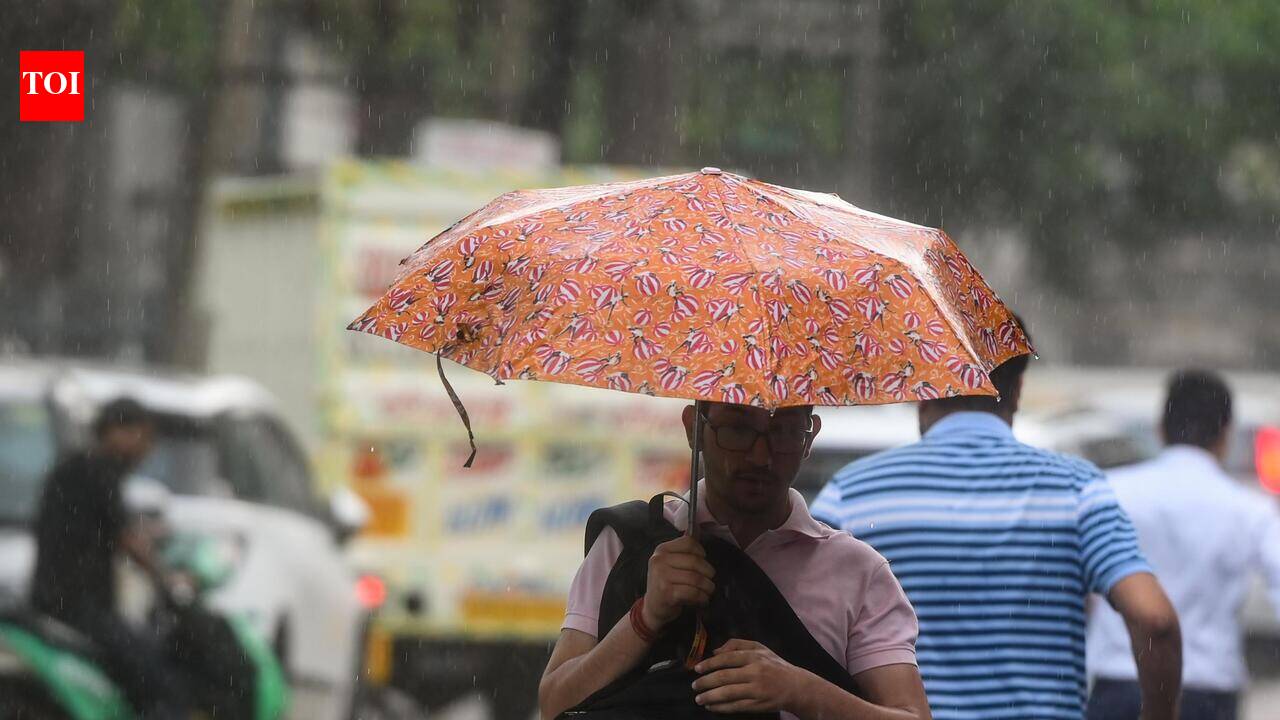 IMD warns of heavy rain in Haryana till July 9