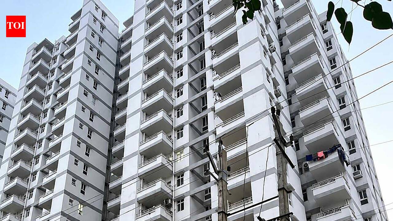 NBW against realty company MD, director in compensation case
