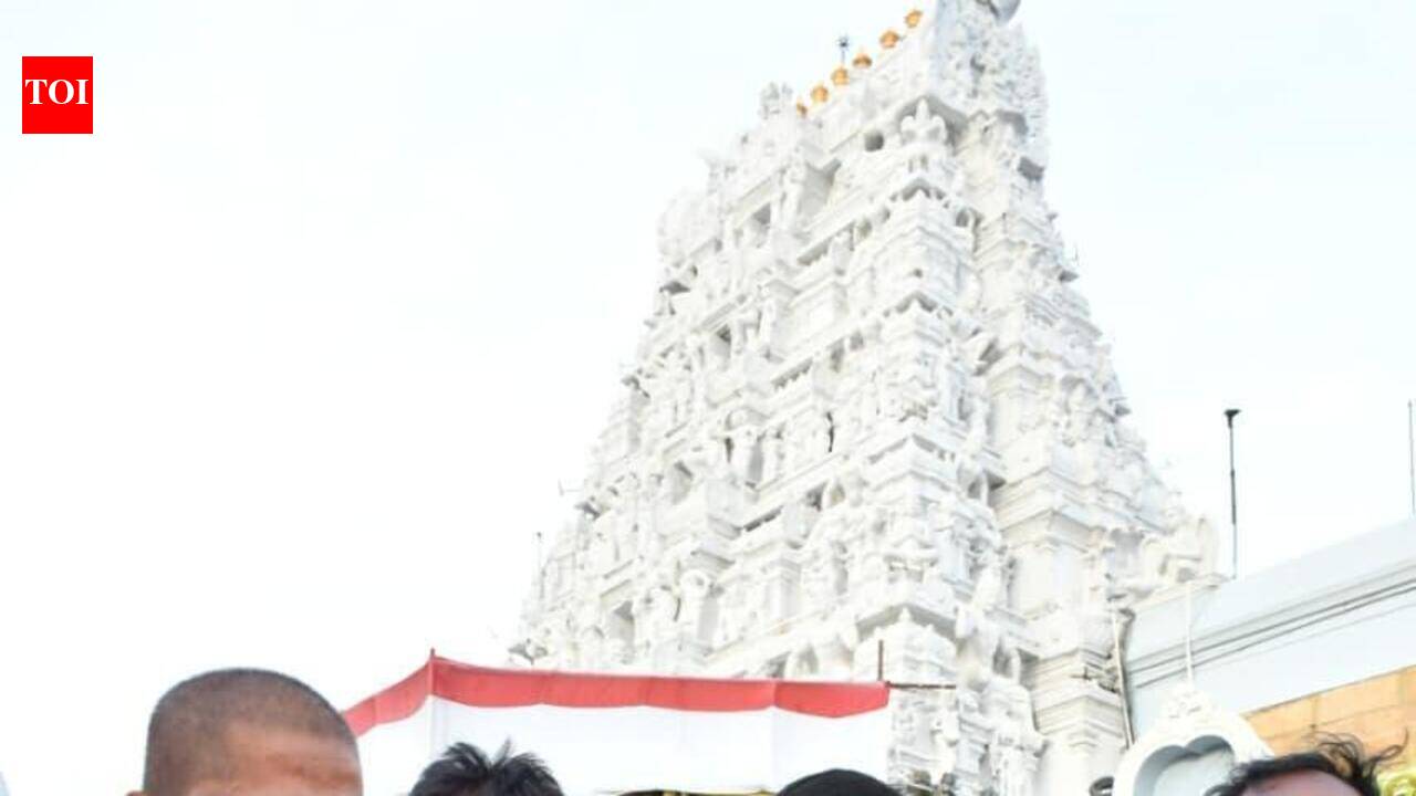 116 &amp; unstoppable: Grandma’s Tirumala trek wins hearts, spl darshan