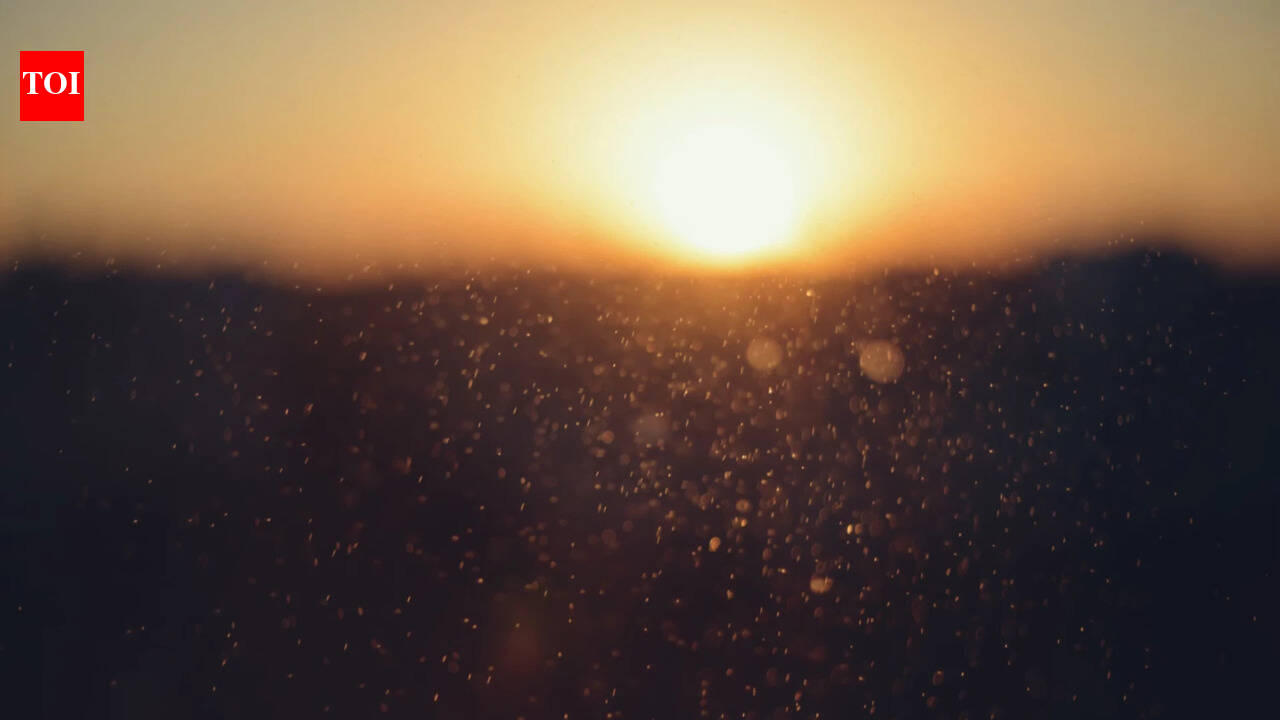 Best proverb of the day: 'Even the sun negotiates with dust to make a shadow'