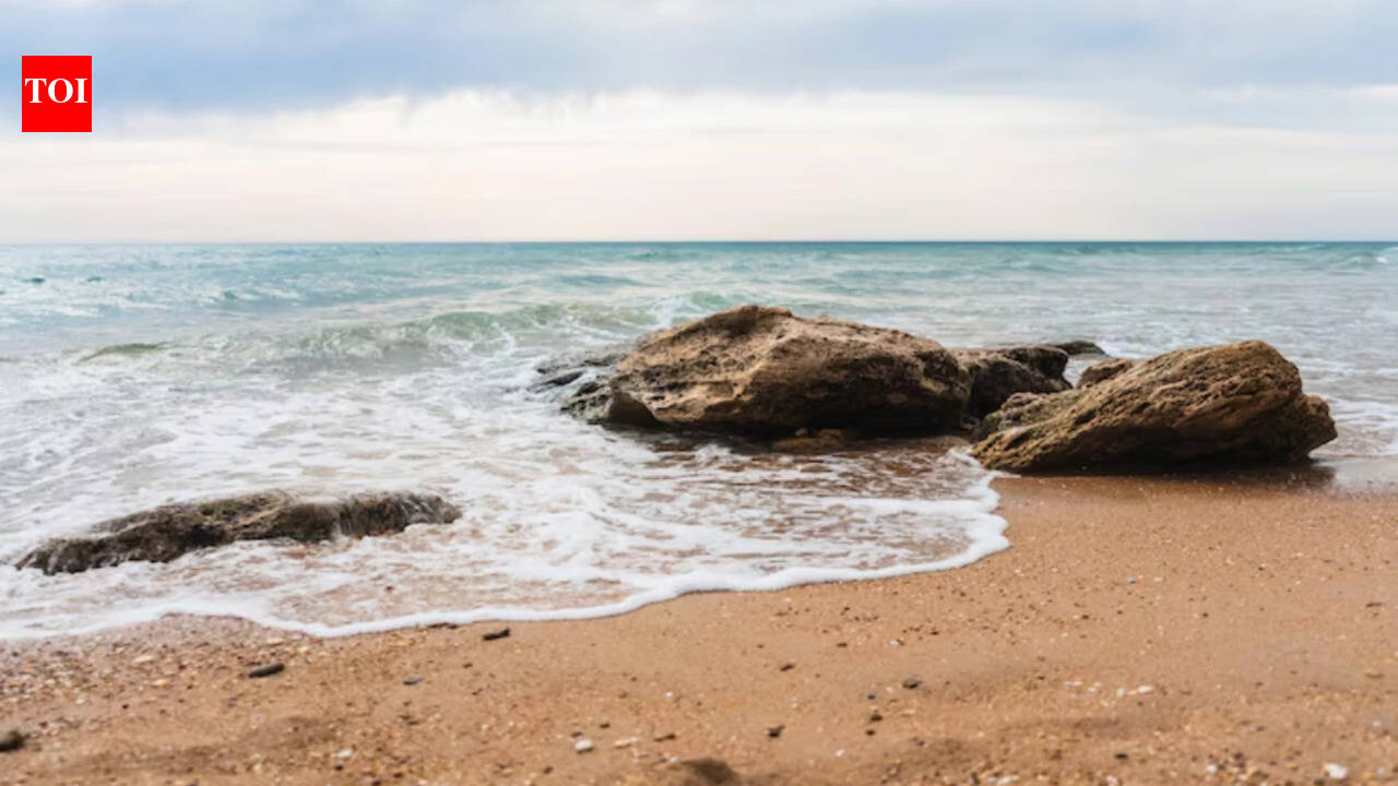 Best proverb of the day: 'The ocean keeps every secret, but charges salt for storage'