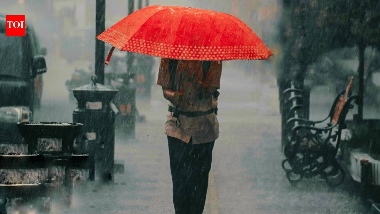 https://static.toiimg.com/thumb/msid-132229992,width-1280,height-720,resizemode-6,overlay-toi_sw,pt-32,y_pad-600/photo.jpg